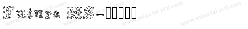 Futura MS字体转换